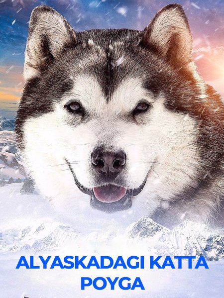 Alyaskadagi katta poyga poster
