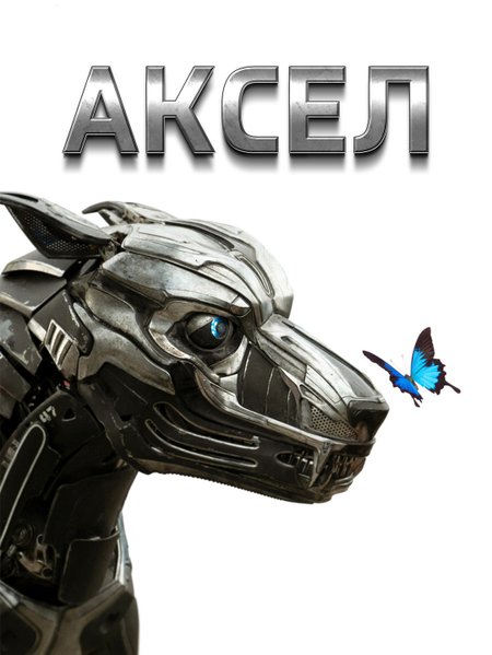 Аксел poster