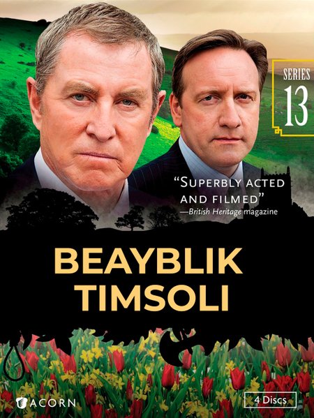 BEAYBLIK TIMSOLI poster