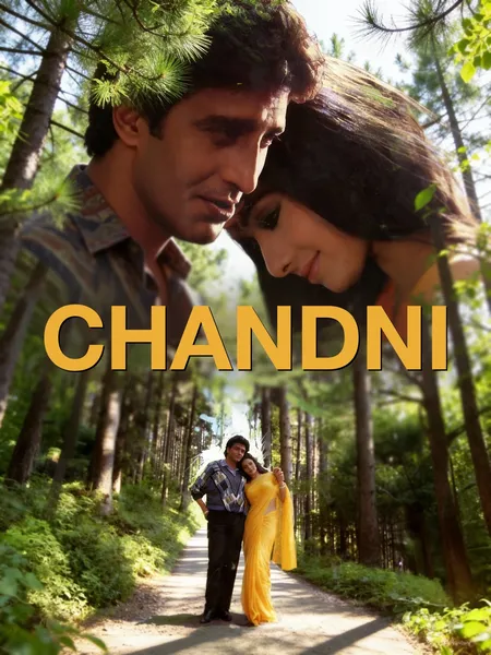Chandni poster