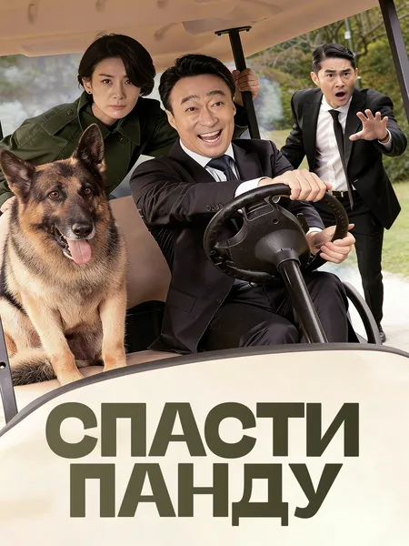 Спасти панду poster