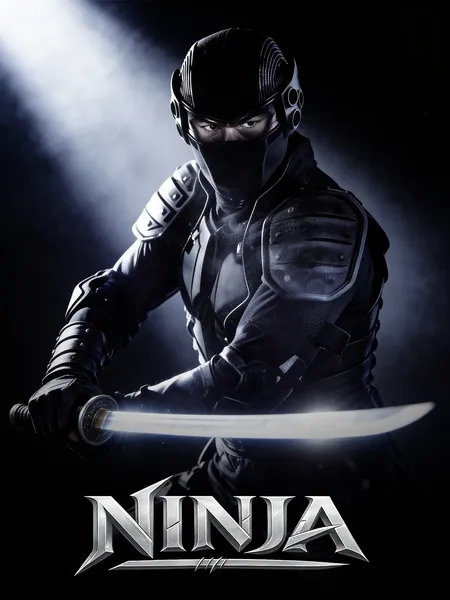 Ninja 1 poster