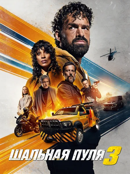Шальная пуля 3 poster