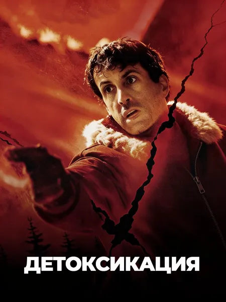 Детоксикация poster