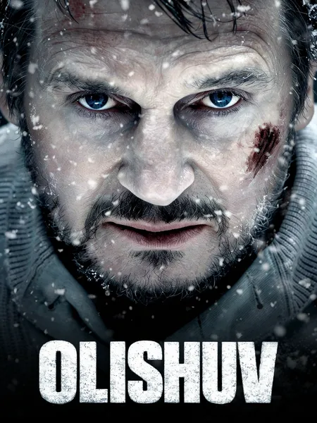 Olishuv poster