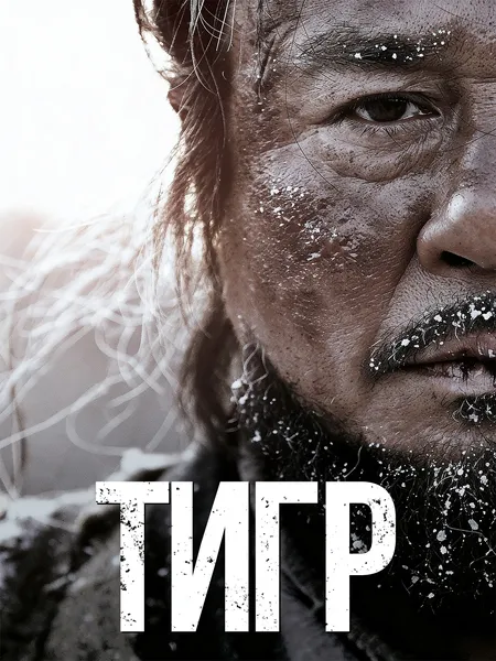 Тигр poster