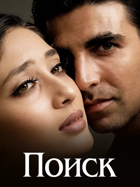 В поисках возмездия poster