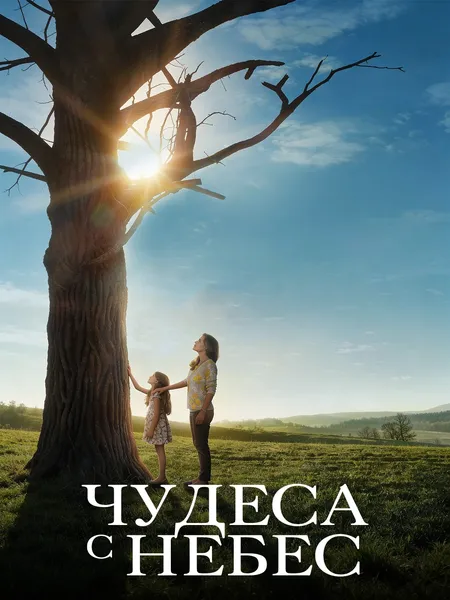Чудеса с небес poster