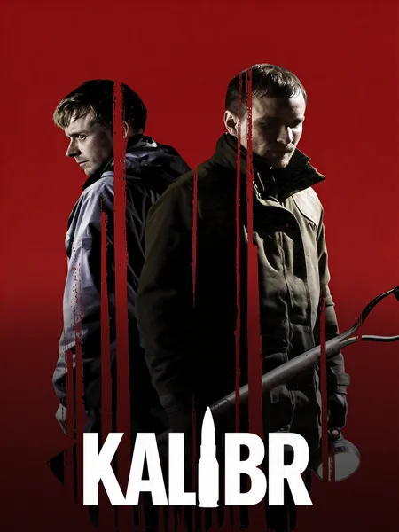 Kalibr poster