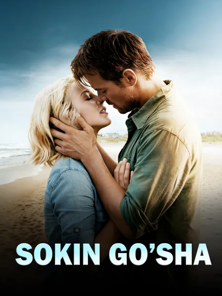 Sokin go'sha poster