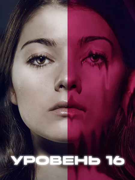 Уровень 16 poster