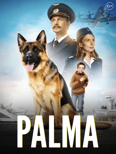 Palma poster