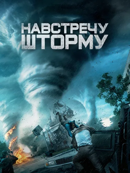 Навстречу шторму poster