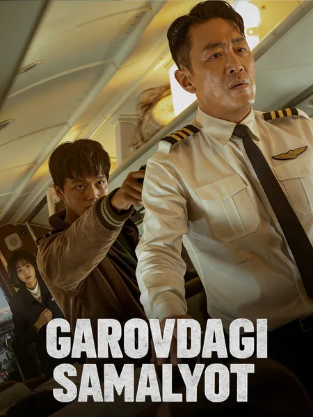 Garovdagi samalyot poster