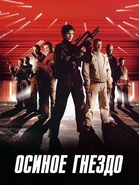 Осиное гнездо poster