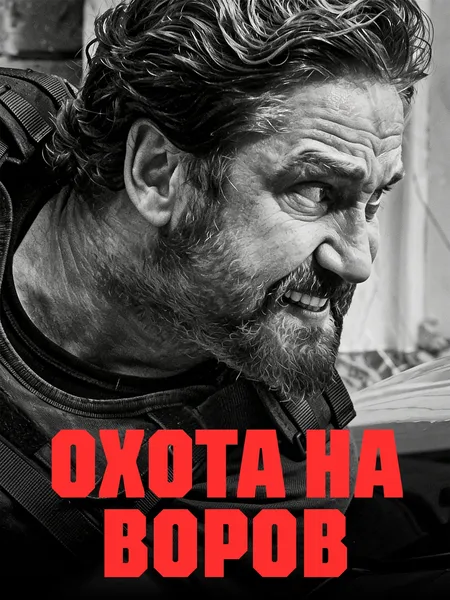 Охота на воров poster