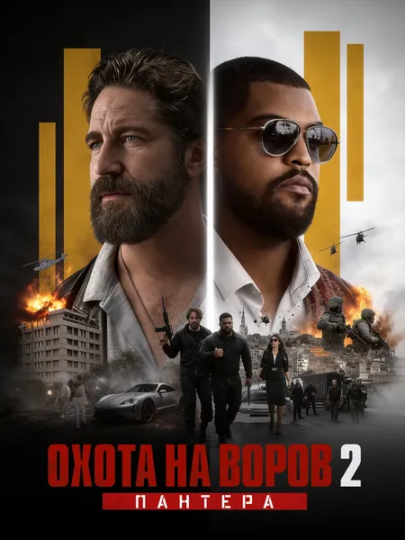 Охота на воров 2: Пантера poster