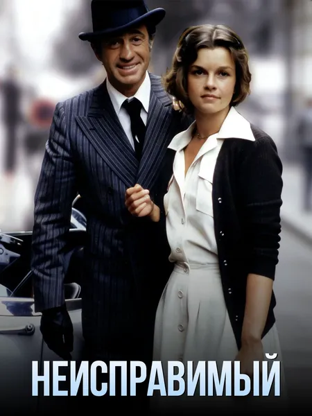 Неисправимый poster