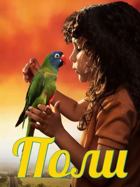 Поли poster