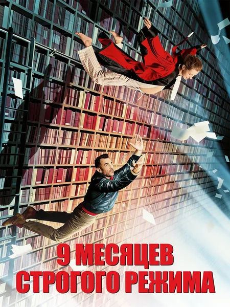 9 месяцев строгого режима poster