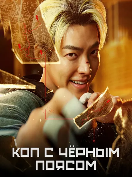 Коп с чёрным поясом poster