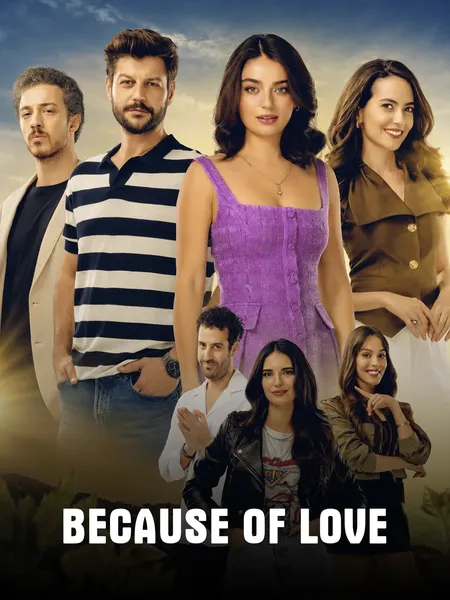 Because of Love poster