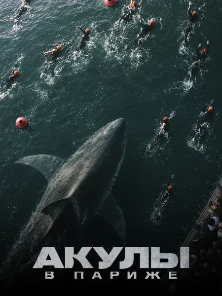 Акулы в Париже poster