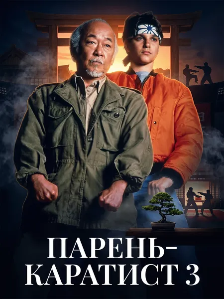 Парень-каратист 3 poster