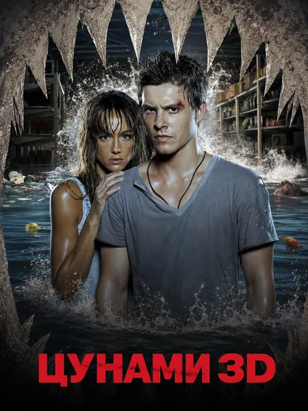 Цунами 3Д poster