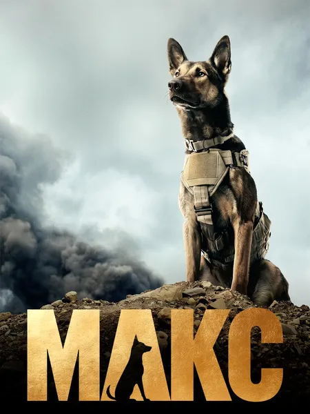 Макс poster