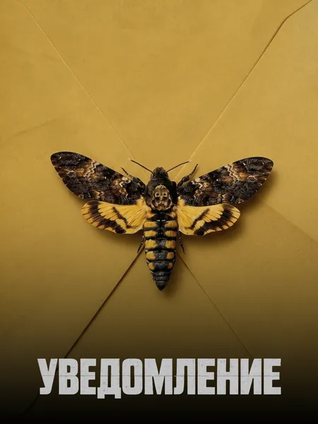 Уведомление poster