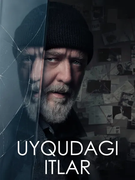Uyqudagi itlar poster