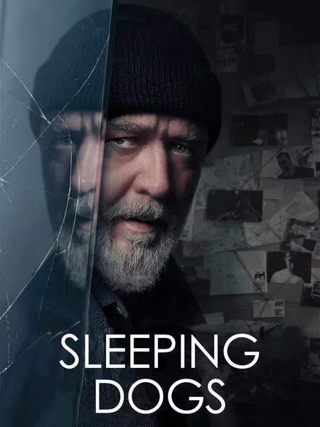 Sleeping Dogs poster
