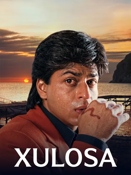 Xulosa poster