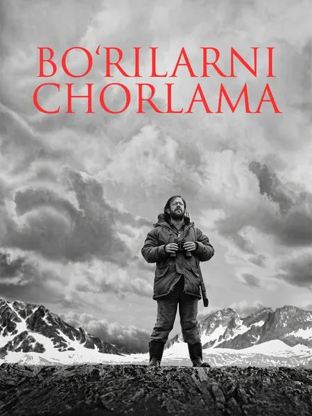 Bo'rilarni chorlama poster