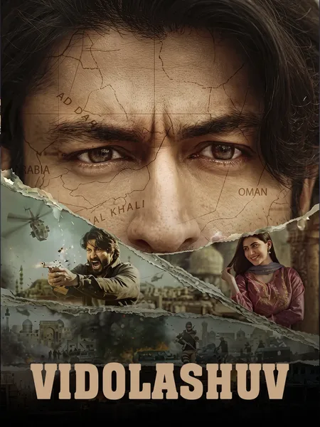 Vidolashuv poster