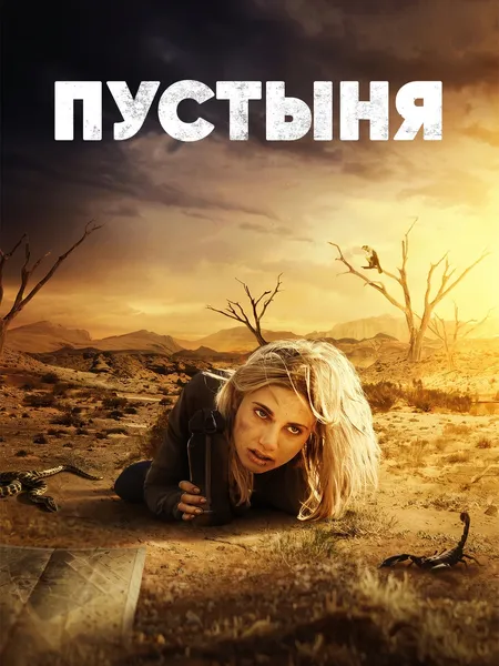 Пустыня poster