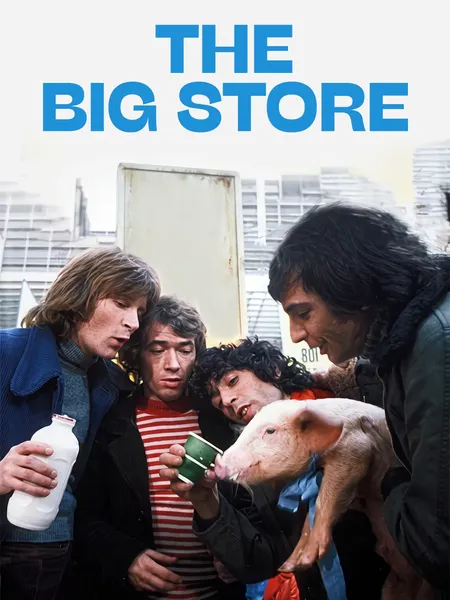 Le grand bazar poster