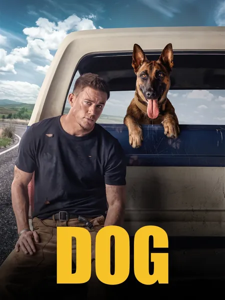 Dog poster
