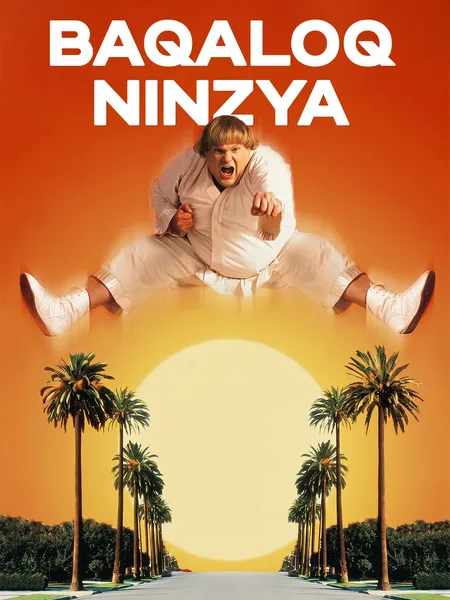 Baqaloq ninzya poster