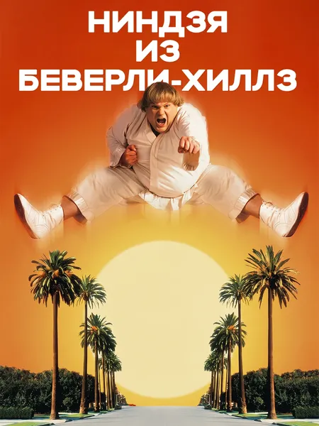 Ниндзя из Беверли-Хиллз poster