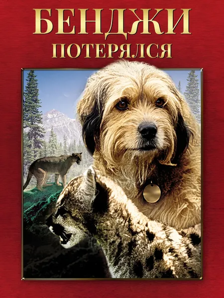 Бенджи потерялся poster