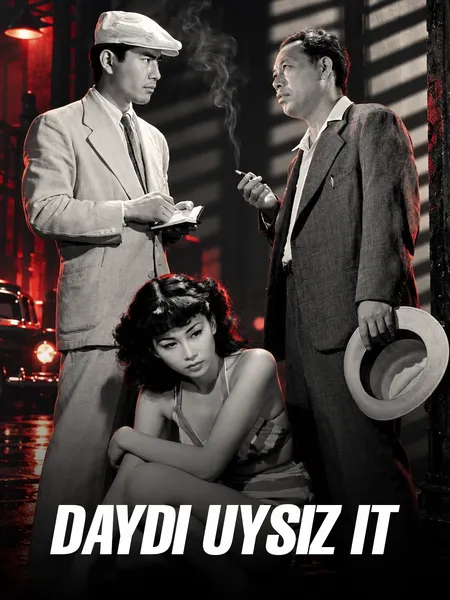 Daydi uysiz it poster